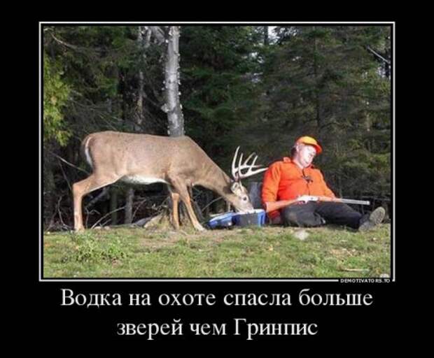 Свежая коллекция демотиваторов (22 шт)