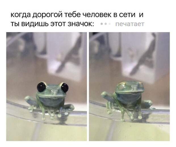 Подборка картинок (20 фото)