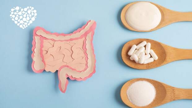 Пробиотики: действительно ли они работают? Как понять, что ваш пробиотик действует