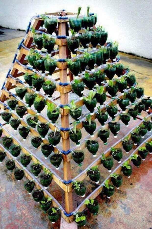 Многоуровневый сад из обрезанных пластиковых бутылок, которые закреплены на конусовидном деревянном каркасе.