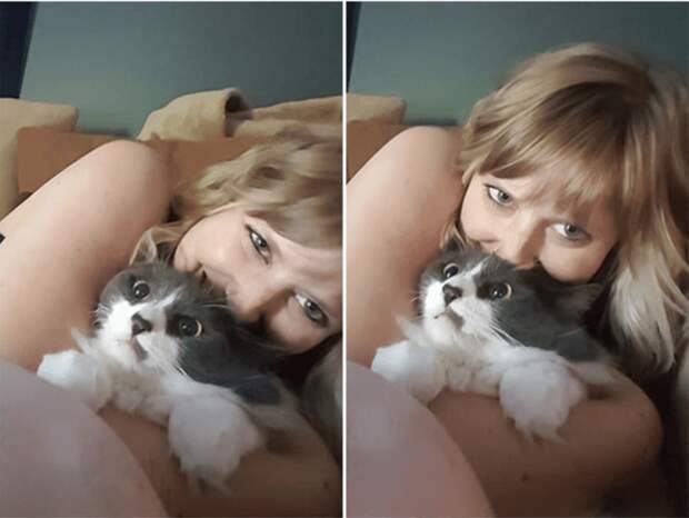 Котейки, которые терпеть не могут эти ваши поцелуйчики