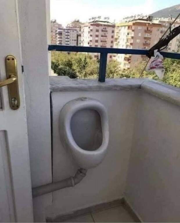 Источник Яндекс Картинки. 