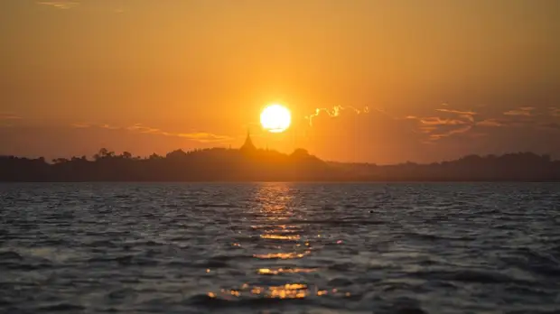 Учёные зафиксировали уникальное поведение моллюска-бурильщика