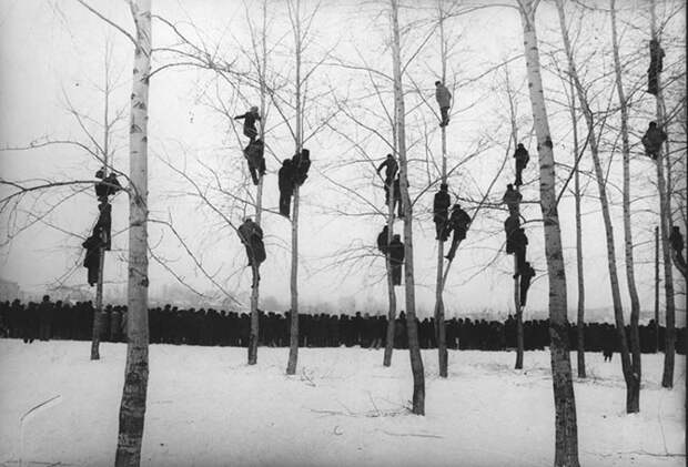 Шедевры советской фотографии