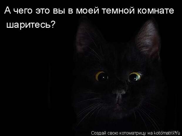 Котоматрица - А чего это вы в моей темной комнате шаритесь?