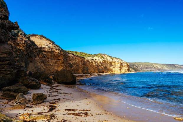 На пляже нашли яйца хищного динозавра