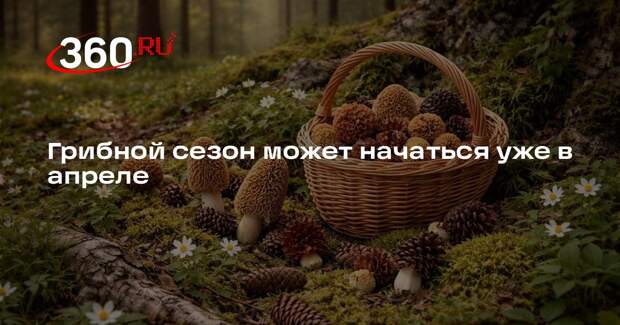 В Москве ожидается ранний старт грибного сезона
