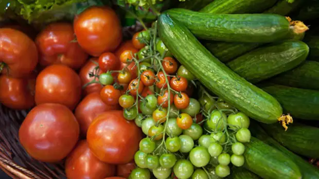 Власти Ленинградской области выделят 5,7 млрд рублей на поддержку аграриев в 2019 году