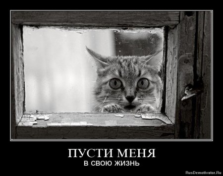 Похожее изображение
