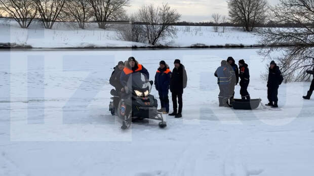 Около 300 волонтеров ищут трех школьников, пропавших в Звенигороде