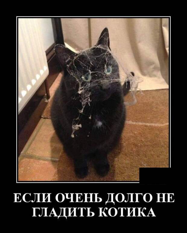 Демотиваторы (20 фото)