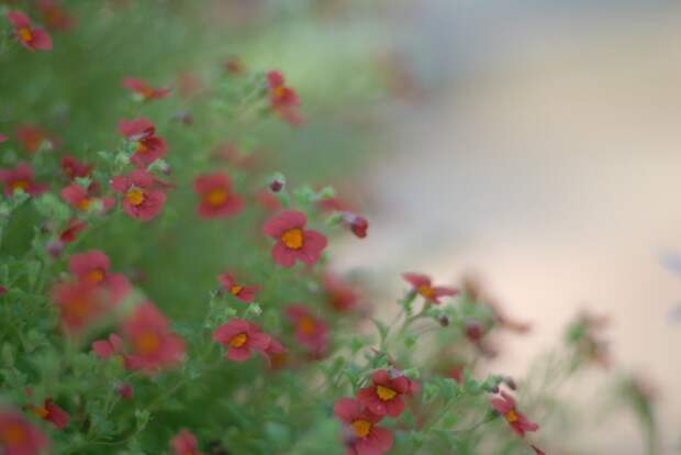 Есть только миг между прошлым и будущем... Есть только миг между прошлым и будущем...