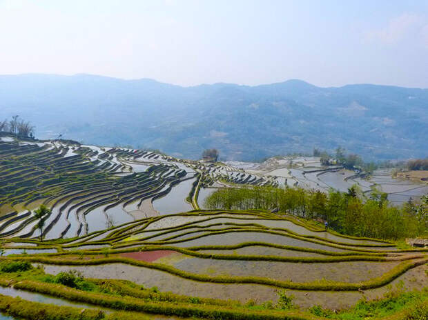 yunnan rice terraces 12 Рисовые террасы Хунхэ Хани включены в Список Всемирного наследия ЮНЕСКО