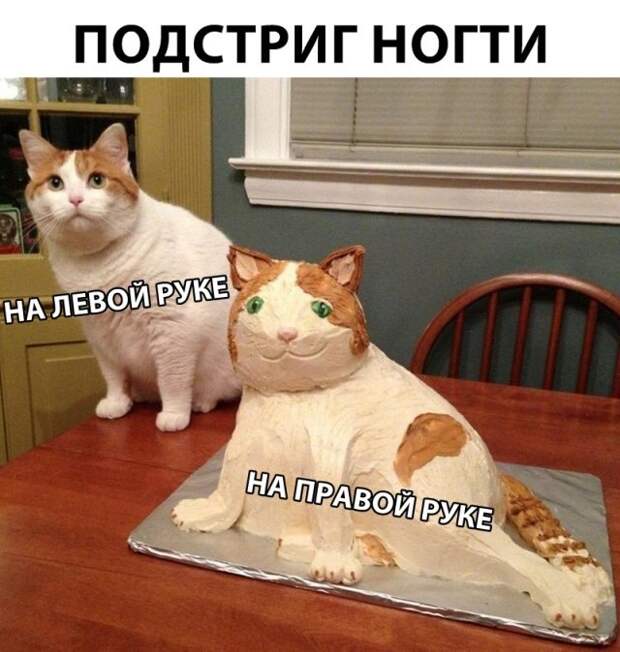 Прикольные картинки абавсём:D