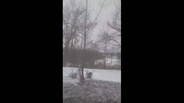 Немножко Гвардейки https://t.me/webmoney_dn/312047Video: Видео от Донецкая группа новостей|Донецк.ДНР