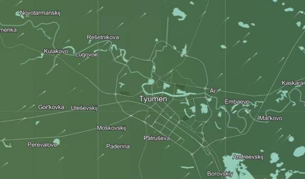 Роспотребнадзор не обнаружил в дыме над Тюменью вредных веществ