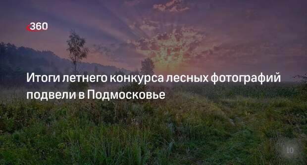 Итоги летнего конкурса лесных фотографий подвели в Подмосковье