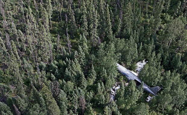 Заброшенные самолеты давно стали *частью* окружающей природы
