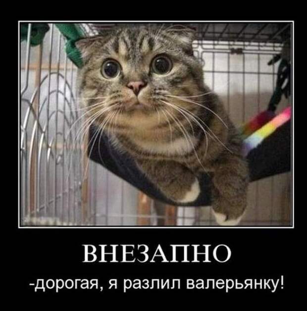 Демотиваторы (30 фото)