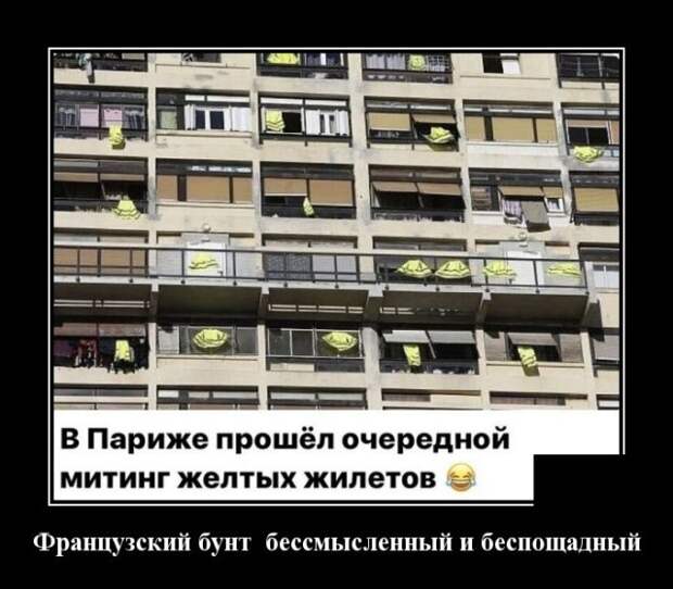 Демотиватор про митинг желтых жилетов