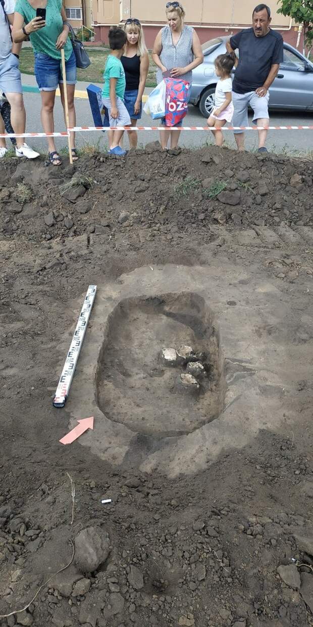 В Воронеже проводят раскопки кургана