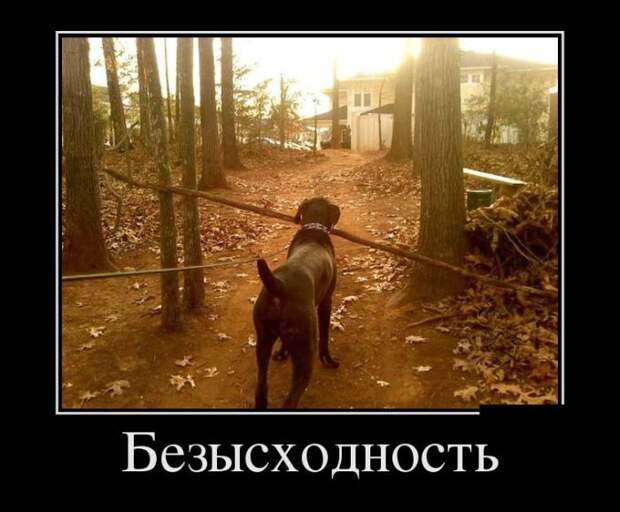 Демотиваторы №118 (30 фото)