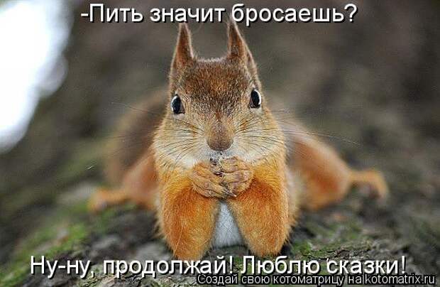 Котоматрица - -Пить значит бросаешь? Ну-ну, продолжай! Люблю сказки!
