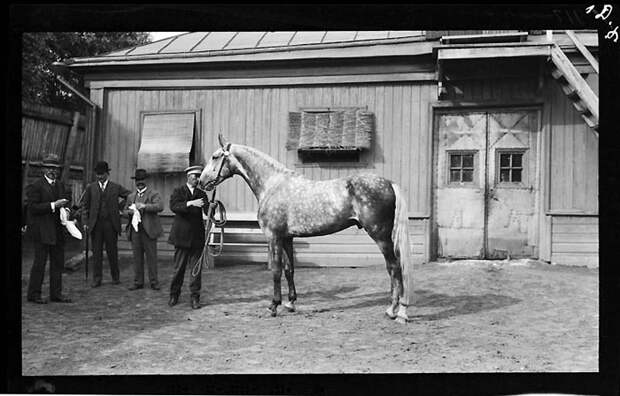 Фотография: Москва 1909 года №68 - BigPicture.ru
