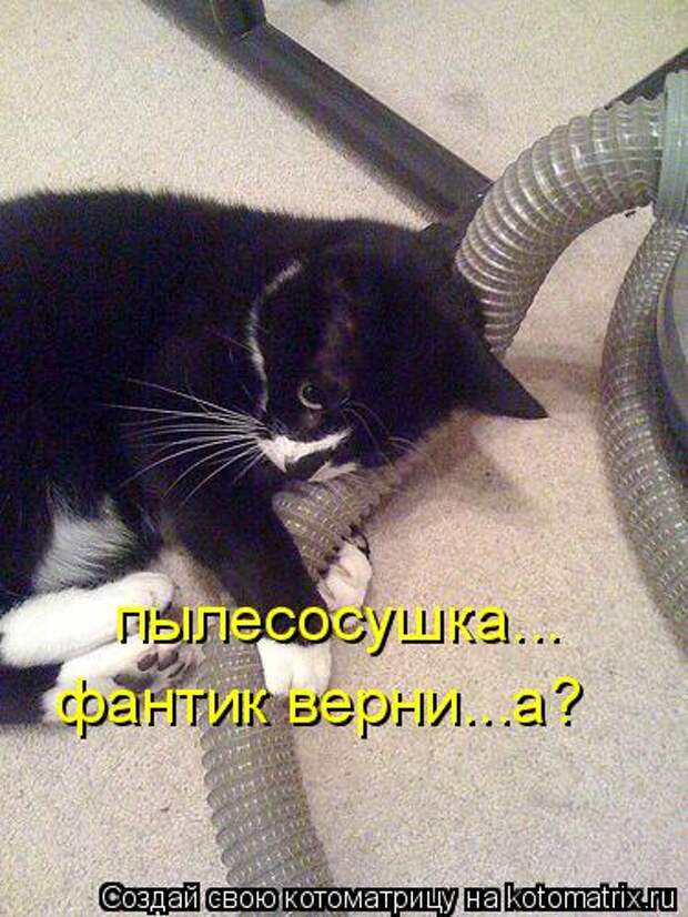 Котоматрица - пылесосушка... фантик верни...а?