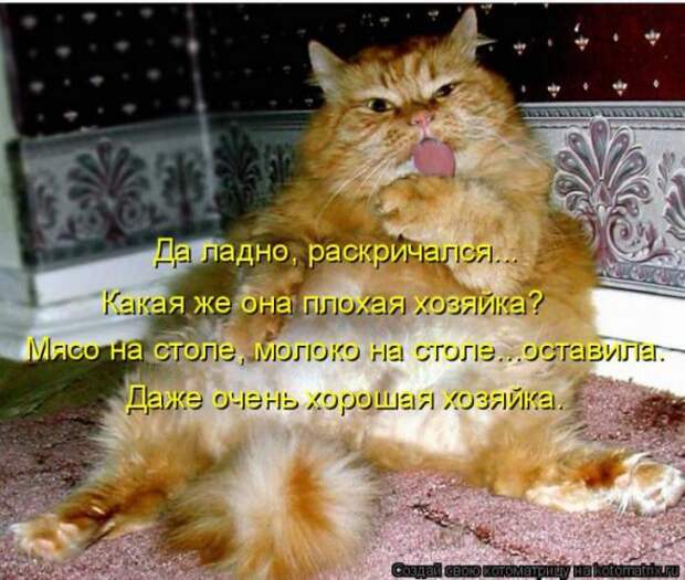 Котоматрицы (картинки с надписями)