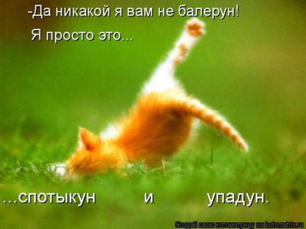 Котоматрицы(картинки с надписями)