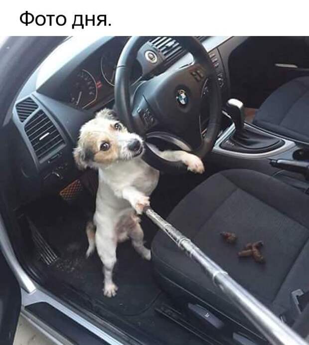 Подборка различных приколов (30 шт)