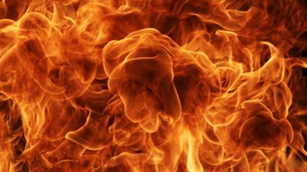 Мать и четверо детей погибли при пожаре в Удмуртии