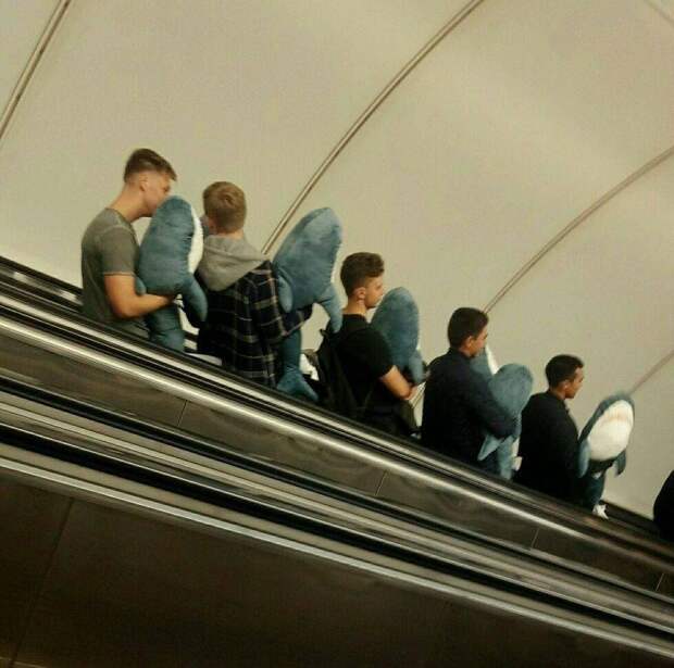 Подборка прикольных картинок
