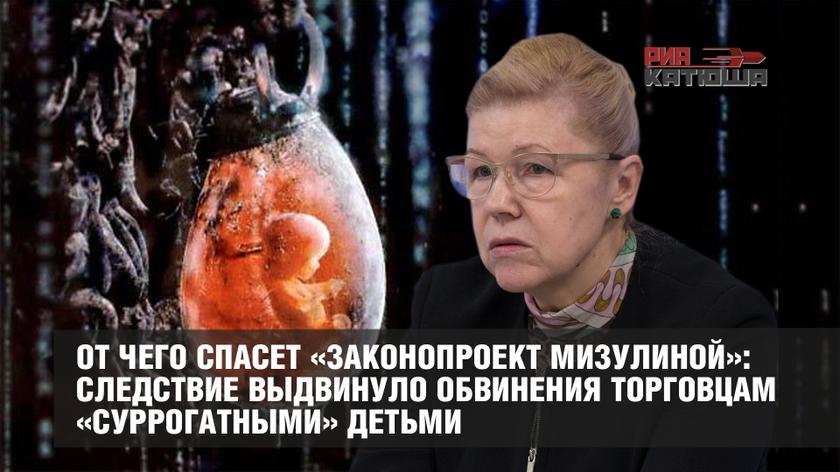 От чего спасет «законопроект Мизулиной»