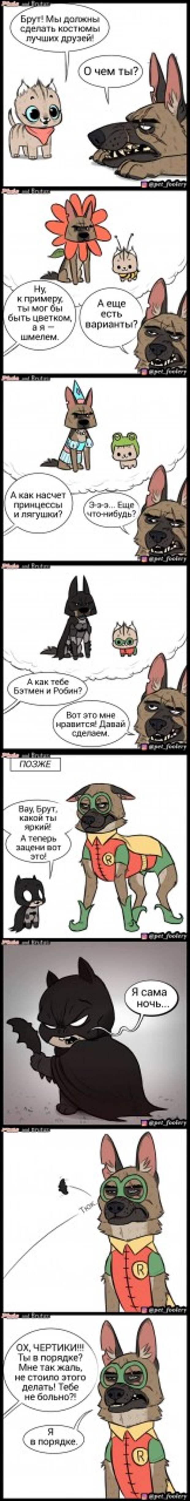Художник рисует комиксы о дружбе милого котенка и брутальной овчарки, и они никого не оставят равнодушными