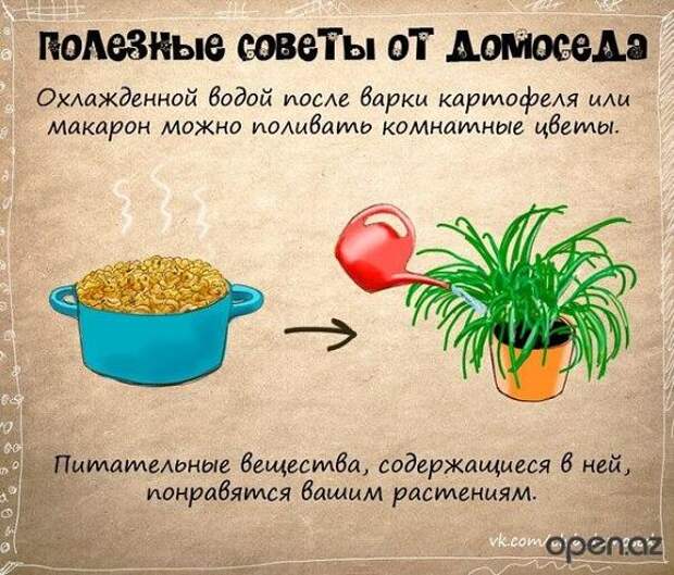 Полезные советы в картинках