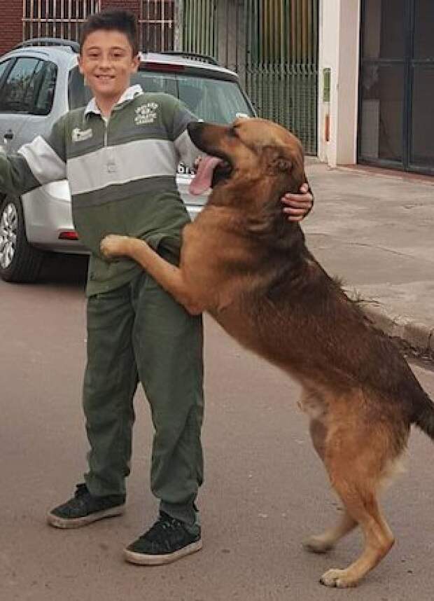 Целых 8 месяцев мальчик горевал по нему, пока однажды родители не нашли пса живым и невредимым. Как выяснилось, собаку приютили члены другой семьи, но искать хозяев пса они не спешили Целых 8 месяцев мальчик горевал по нему, пока однажды родители не нашли пса живым и невредимым. Как выяснилось, собаку приютили члены другой семьи, но искать хозяев пса они не спешили видео, встреча, дети, животные, пропажа, разлука, реакция, собака, хозяин