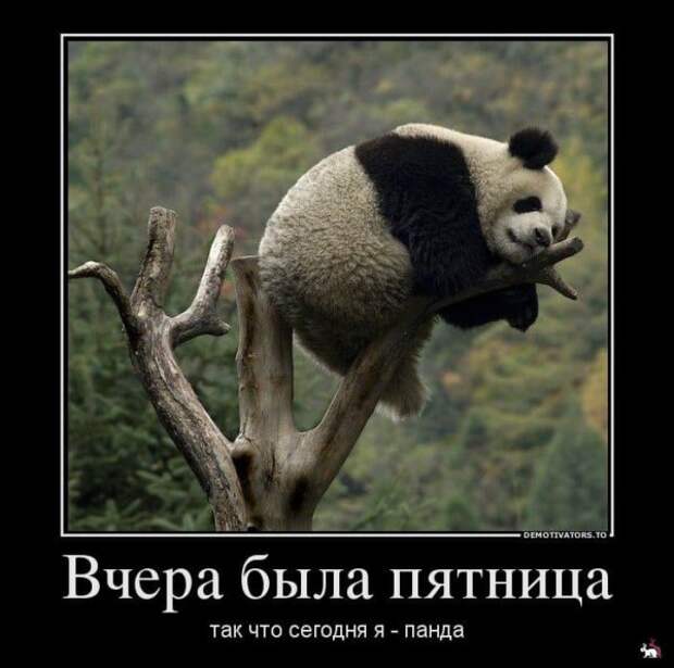 Коллекция весёлых картинок про субботу