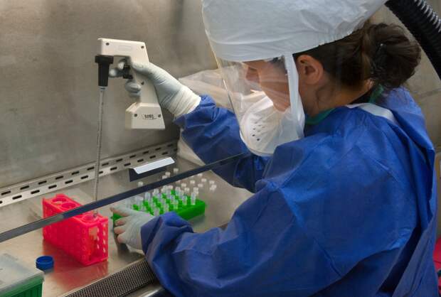 Ученые узнали, сколько нужно иммунитету времени для полного восстановления после коронавируса