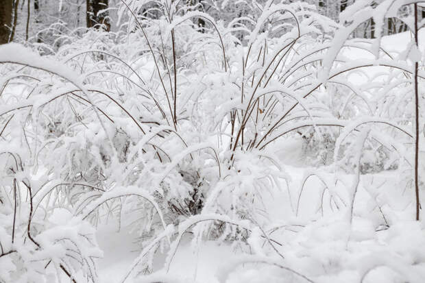 Сугробы уменьшатся: в Туле потеплеет до +3 градусов