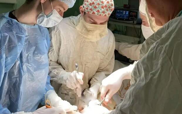 В Рязани онкологи дважды сохранили почку пациенту