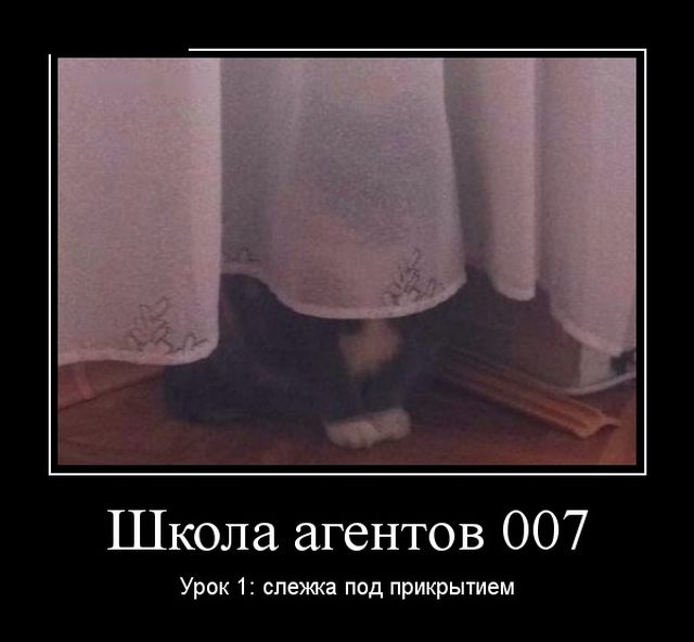 Демотиваторы - 999 Демотиваторы - 999