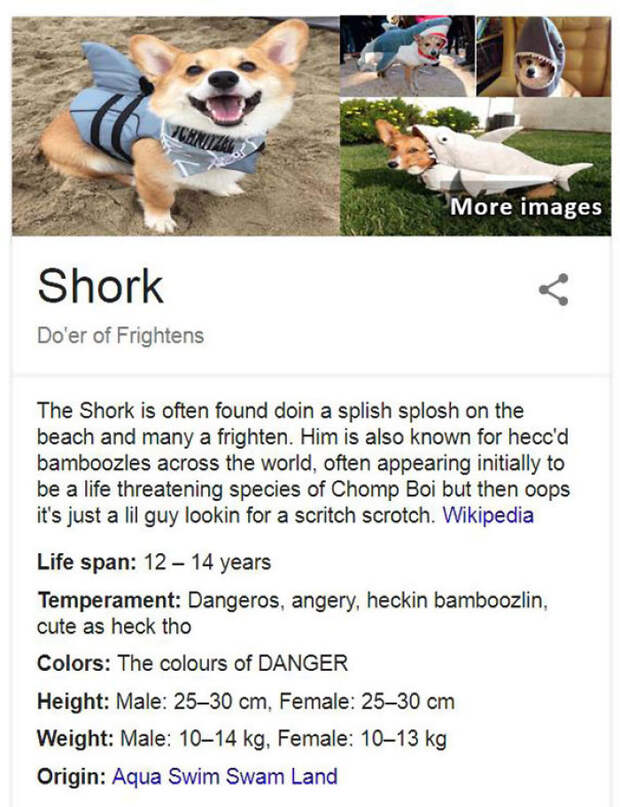 Shork