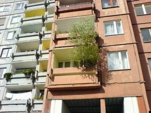 Сила природы (25 фото)