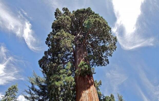 Все обо всем – 25 фактов, о которых знают не все