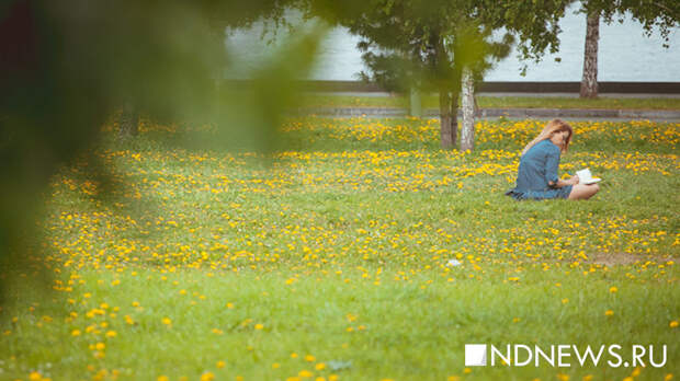 Жара в апреле, июне и июле. Гидрометцентр дал прогноз на весну, лето и осень