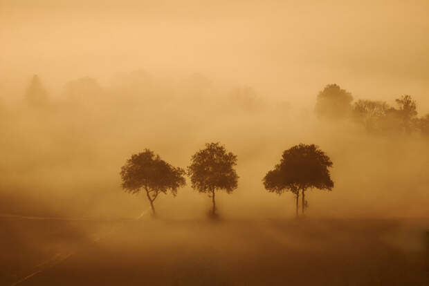 2813 100 изумительных фотографий тумана (часть 1)