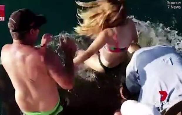 Акула утащила девушку в воду при попытке покормить ее с рук: видео 7 News Perth, Melissa Braning, ynews, акула, видео, кормление с руки, опасно