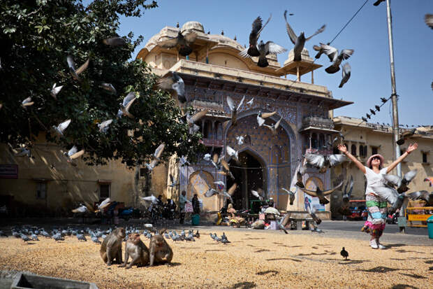 1. Джайпур - розовый̆ город из сна
